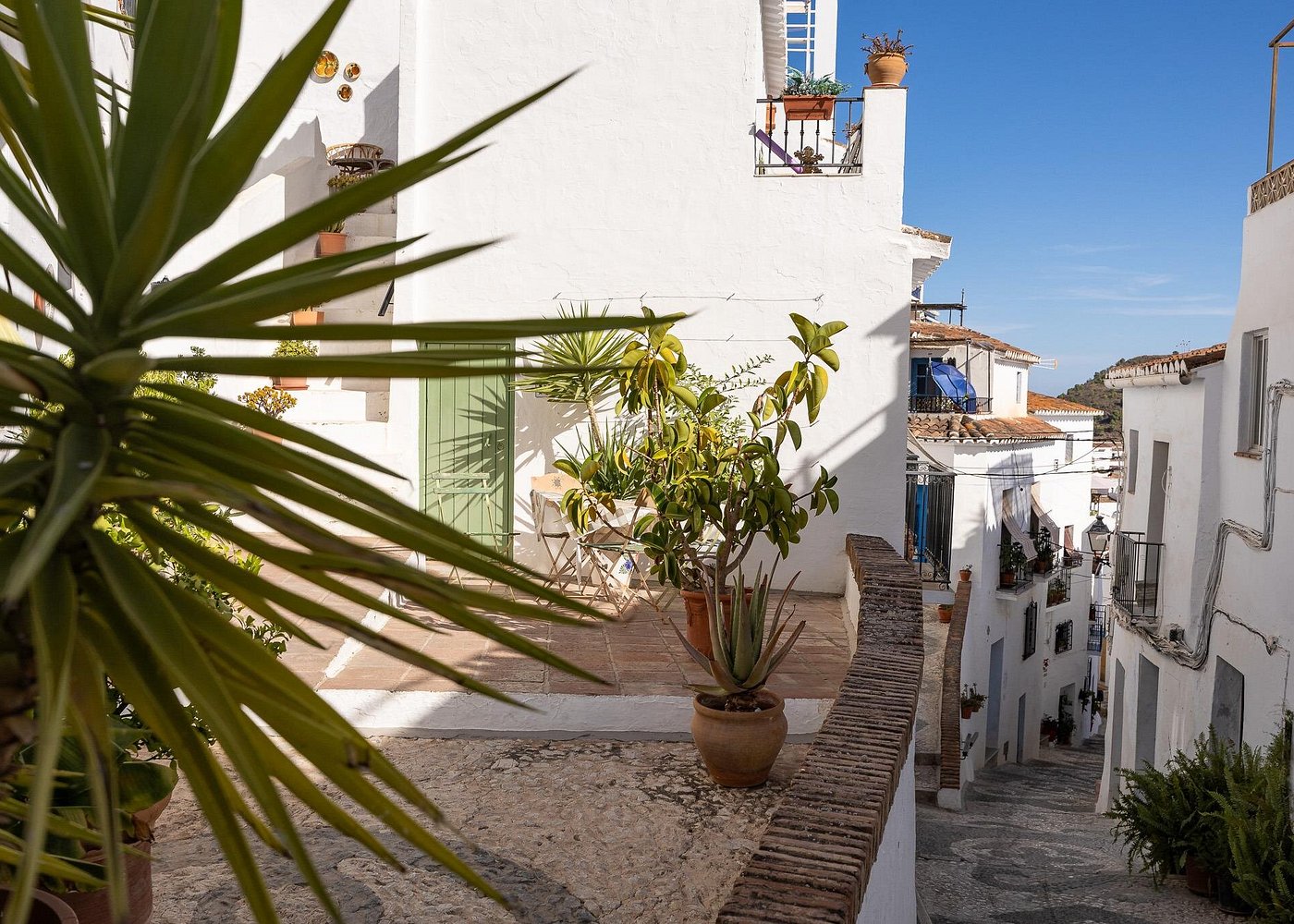 Frigiliana & El Acebuchal